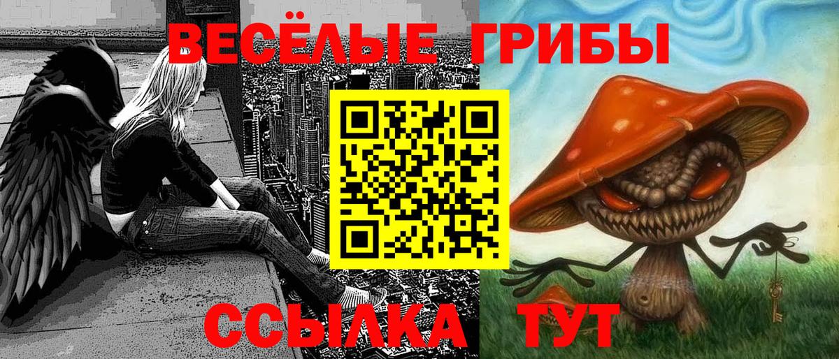 Ейск  Псилоцибиновые грибы MAGIC MUSHROOMS  Вход с VPN 
