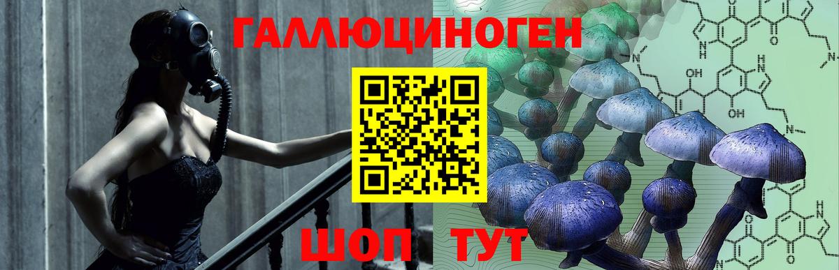 Галлюциногенные грибы Cubensis Ейск